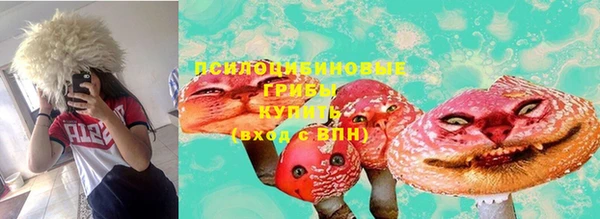 тгк Алзамай