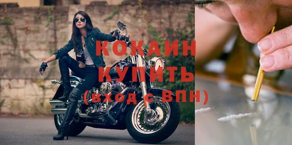 тгк Алзамай