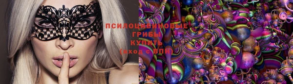 тгк Алзамай